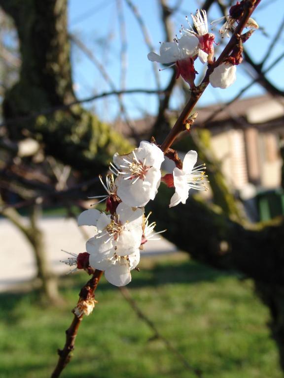 Podere 1248 ลาดิสโปลี ภายนอก รูปภาพ