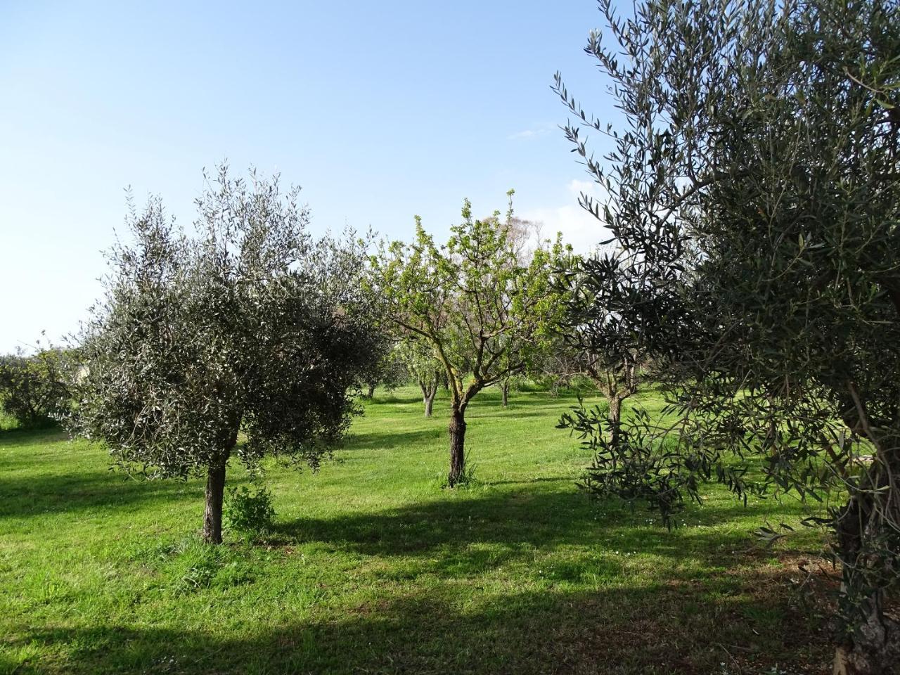 Podere 1248 ลาดิสโปลี ภายนอก รูปภาพ